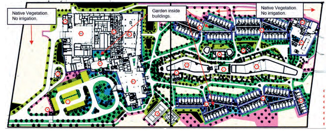 General plan of green areas. Coco Caribe Hotel.