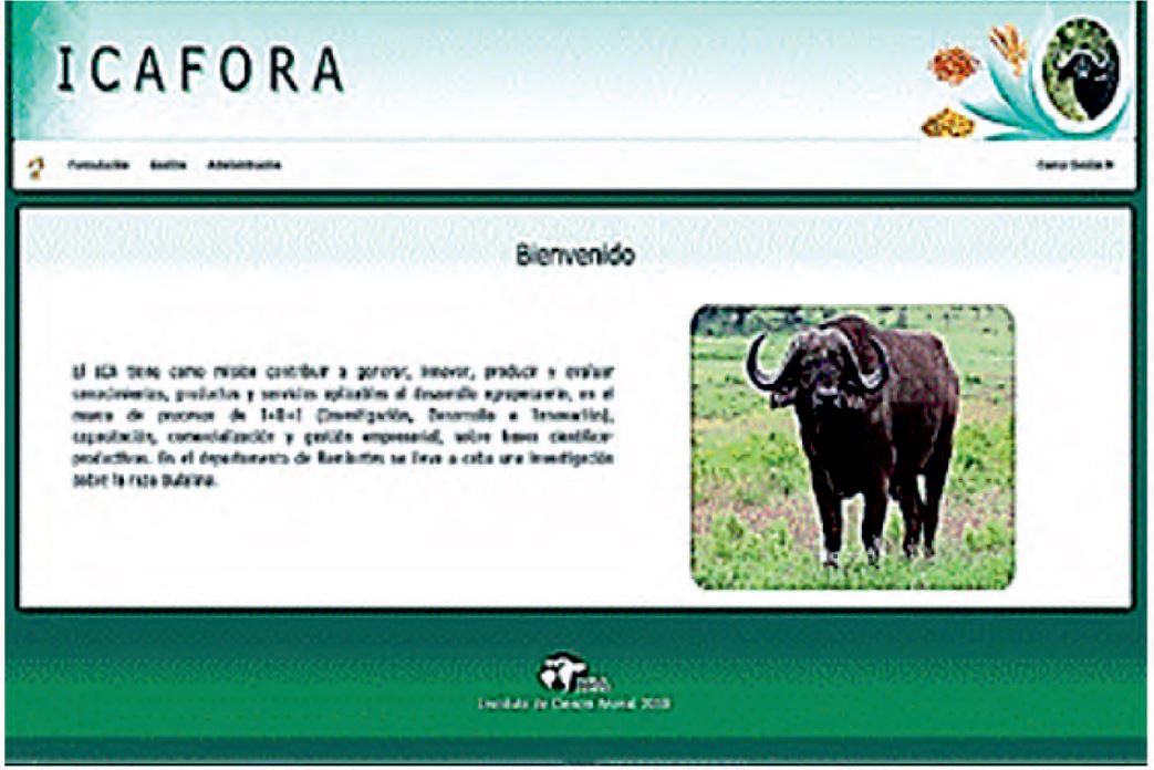 Initial System Interface.