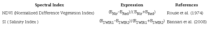 Spectral indices of vegetation and salinity determined from the satellite images