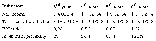 Profitability analysis of avocado crop in 1 ha of land