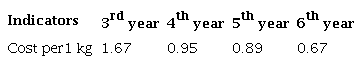 Production cost per kilogram of avocado