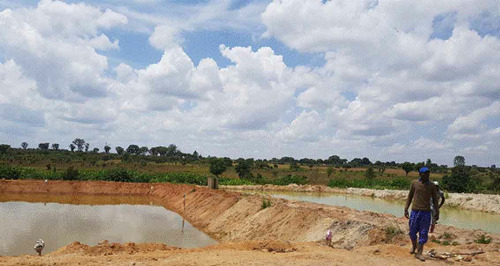 The two tilapia production ponds at Fazenda Tchissola II