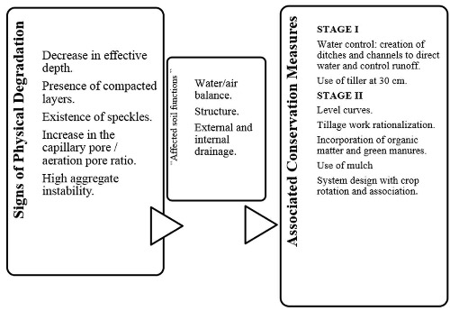 Conservation Plan for the &ldquo;El Mamey&rdquo; Farm, designed to restore the affected soil functions, according to the analysis of the values obtained in the field observation and the physical indicators.