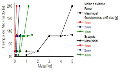 Initial mass as a function of hammer mill time (Table 4).