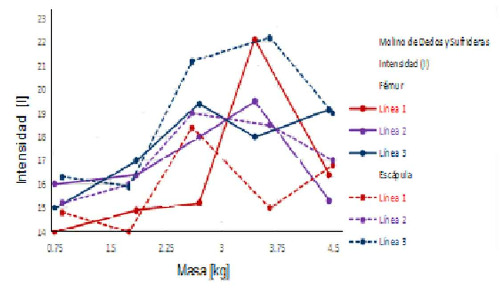 Graph of the final mass and intensity of the finger and nose mill (Table 5).