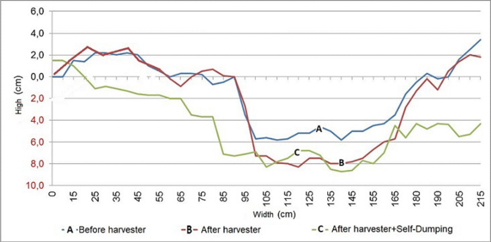 Variations of soil profile in the UBPC Carlos Perera.