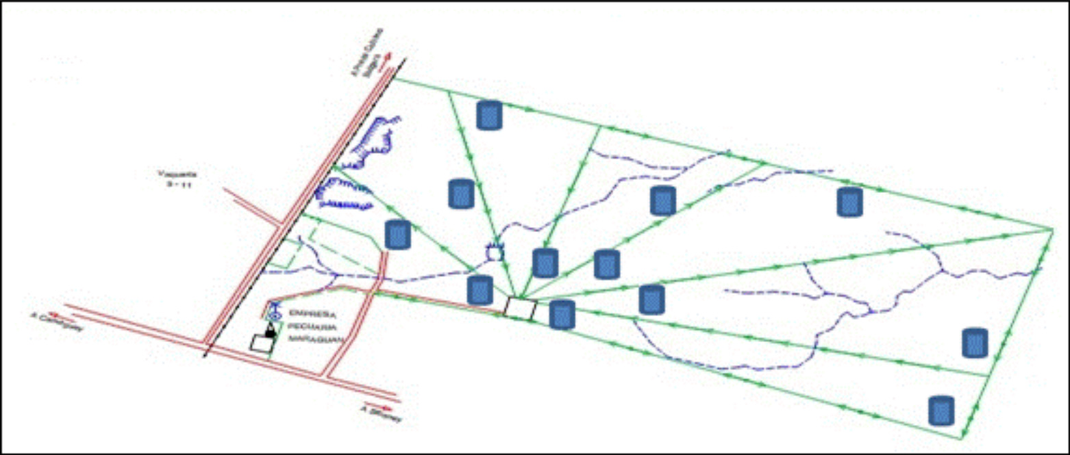 Typical dairy water distribution system used as a reference.