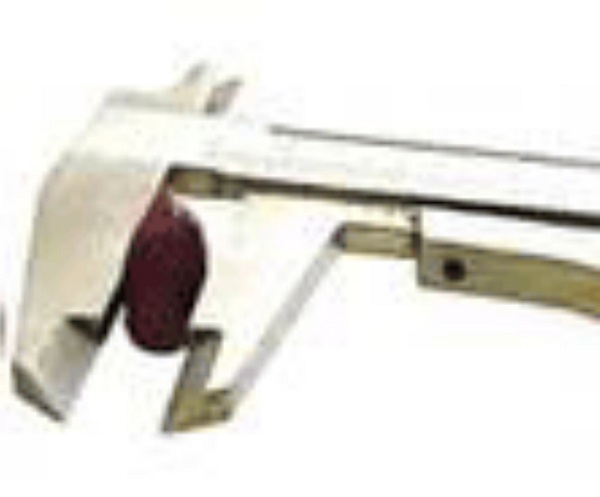 Determination of the equatorial diameter of the peanut kernels.