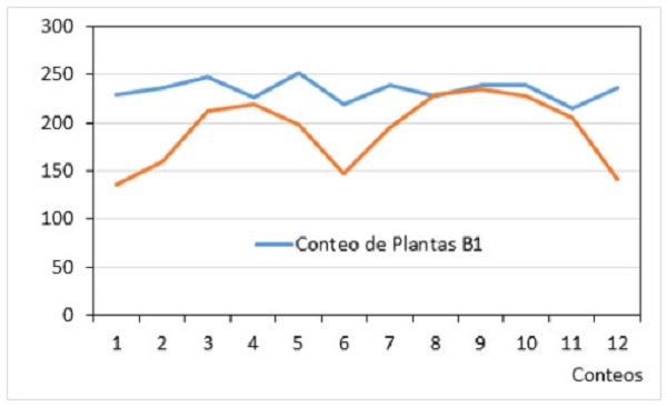 Behavior of the seedling count by rows.