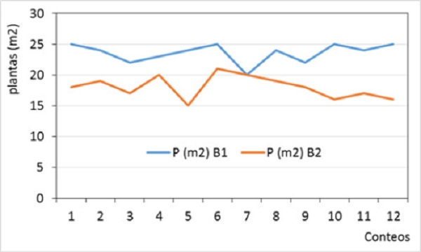 Behavior of the seedling count per square meter.