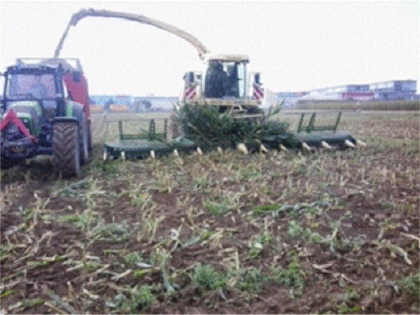 Silo cropper of great format working. Source: Author&acute;s file.