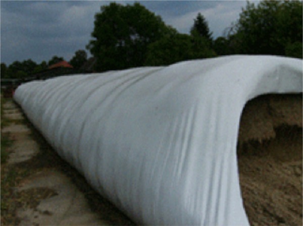 Forage in hermetic plastic silo on soil. Source: Author&acute;s file.