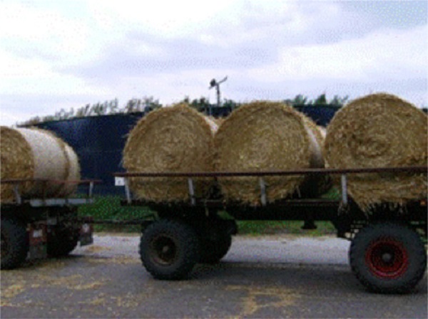 Baller transportation. Source: Author&acute;s file.