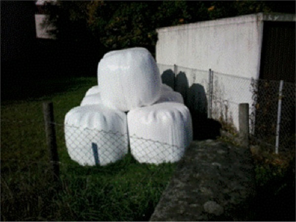 Baller covered with plastic cover, waiting their transfer to the warehouse. Source: Author&acute;s file.