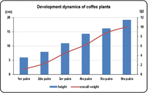 Progress in the development of two morphological variables of coffee seedlings during the research phase.