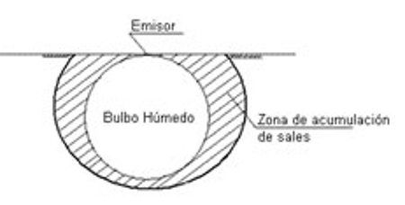 Location of salts in drip irrigation (Pizarro, 1985).