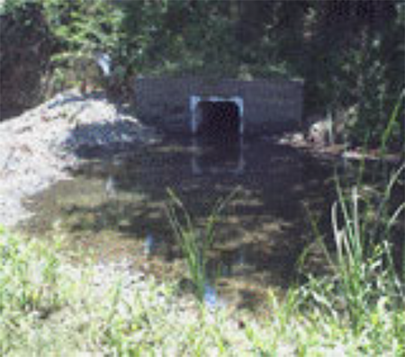 Intake site near the mouth of Miel River, towards Cabac&uacute; CC. 