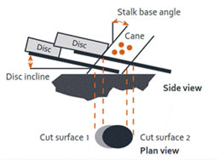 Inclination of the disc and angle of the stem base. Taken from Australia (2014).