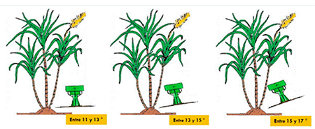 Recommended magnitudes of the angles. Taken from (Rizo, 2018)