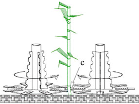 Double-disc cutter to make the base cutting and sweeping of the soil in the sugarcane harvest (C-Cutting point). Taken from Braunbeck & Magalhães (2002)