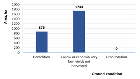 Ground condition in the areas of soil preparation.