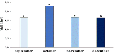 Average yield values (t ha-1) of the ''Criollo V&iacute;ctor' garlic crop harvested in September, October, November and December in beds, during the 2019-2020 and 2020-2021 campaigns.