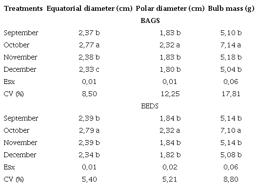 Means of Bulb indicators of &lsquo;Criollo Victor&rsquo; garlic plants cultivated in bags and beds, during the 2019-2020 and 2020-2021 campaigns