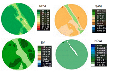 Spatial distribution of vegetative indices.