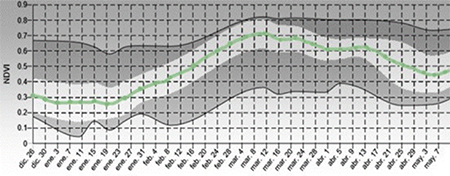 Monitoring NDVI index during cultivation.