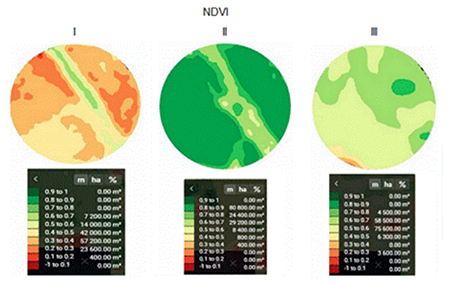 Special distribution of the NDVI index during the vegetative period.