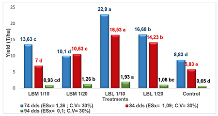 Effect of bovine leachates with L. leucocephala or M. oleifera at dilutions 1/10 and 1/20 (V:V) on okra yield at 74, 84 and 94 days.
