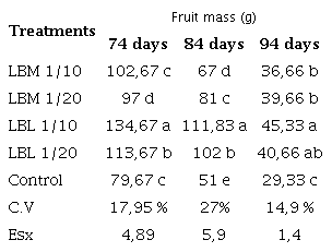 Effect of bovine leachates with L leucocephala or M oleifera on the mass of Abelmoschus esculentus L. cuv. Santa Cruz 47 at 74, 84 and 94 days