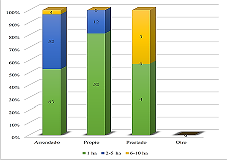 Distribution of land by tenure type and extension.