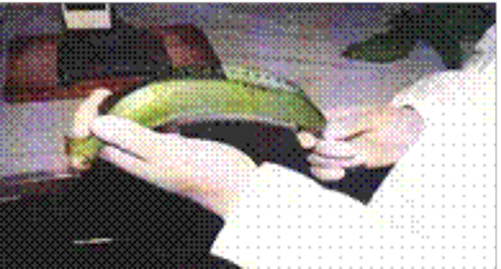 Determination of the length of the banana. Source: postharvestbook.