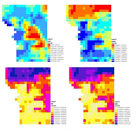 Thematic maps obtained from the estimation of soil moisture content from spectral indexes in the study area.