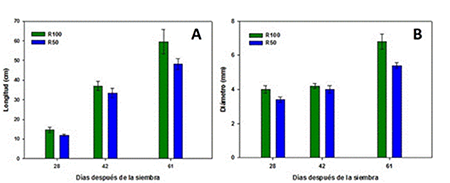 Length (A) and diameter (B) of bean plant stems subjected to two levels of water supply.