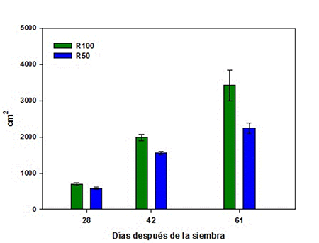 Leaf surface of bean plants subjected to two levels of water supply.