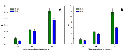 Dry mass of the stem (A) and leaves (B) of bean plants subjected to two levels of water supply.