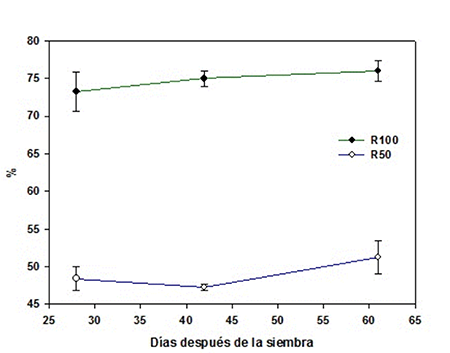 Relative water content in bean plants subjected to two levels of water supply.