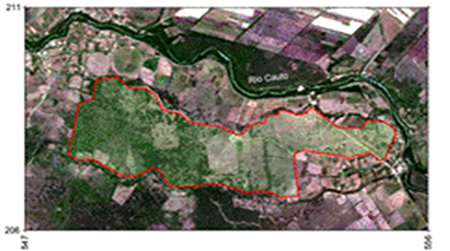 Satellite photo of the study area.