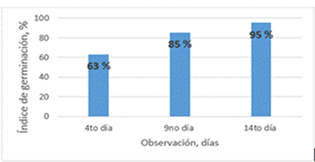 Germinative index per day in the field.