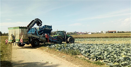Cabbage seeder maneuvering on the turning strip. Source: Author's file.