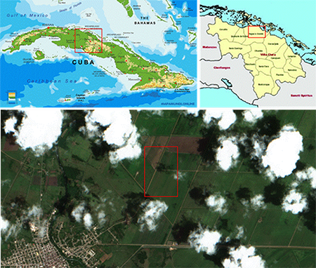 Sugarcane fields of the "H&eacute;ctor Rodr&iacute;guez" sugar mill in Villa Clara, Cuba, used for this work. In red box the area studied according to the scale of the map.