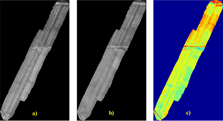 Orthomosaics constructed using the MSI of the a) NIR and b) RE bands of the MicaSense camera. c) Result of image processing, highlighting in orange the highest infection and in green the no brown rust infection.