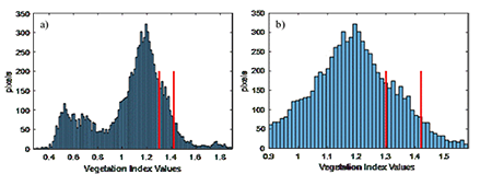 Histogram with VI values shown in Figure 3 e). In a) for VI values between 0.27 and 1.898, in b) for VI values between 0.9 and 1.58. Between red lines the values associated with the presence of brown rust.
