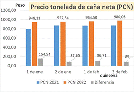 Comparison of income per net cane.