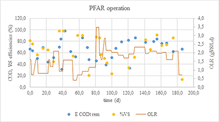 Behavior of the cow manure anaerobic process developed in a plug-flow reactor.