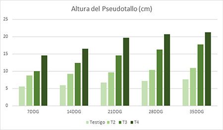 Effect of bioproducts on plant height in banana cultivation.