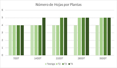 Number of leaves per plant in the different samplings.