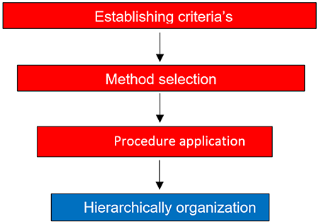 Basic Criticalitymodel. (D&iacute;az & Ben&iacute;tez, 2012) [8].